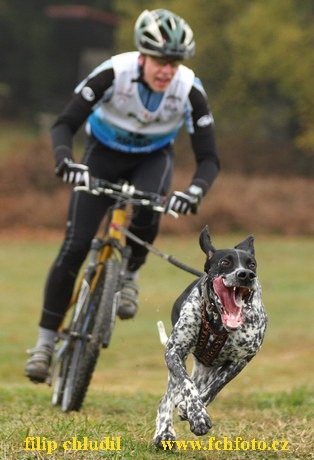 Tri studne podzim 08 - 015.jpg